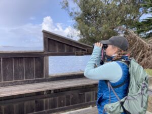A woman in blue with a green backpack and gray baseball cap looks through binoculars from behind a bird blind above a body of water