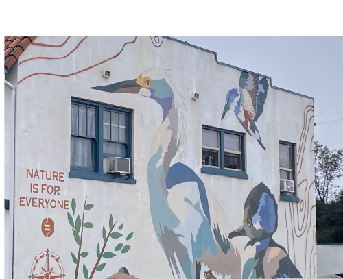 A mural on the side of a two story building featuring wild birds and the words "Nature is for Everyone"