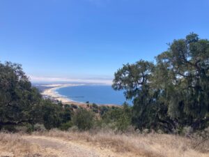 A curved shoreline of white sand meets that blue ocean in a view from the top of Pismo Preserve, with a dirt trail in the foreground
